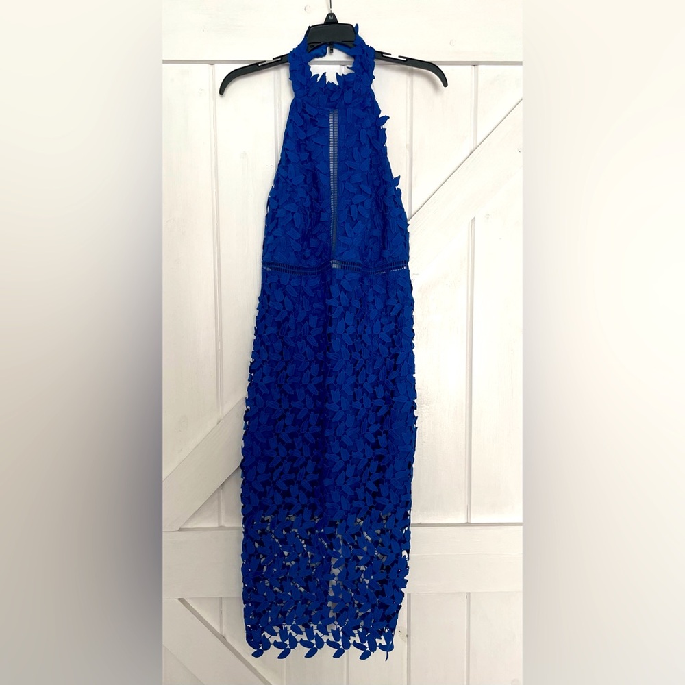 Bardot open lace cocktail dress, size med/8, royal blue.
